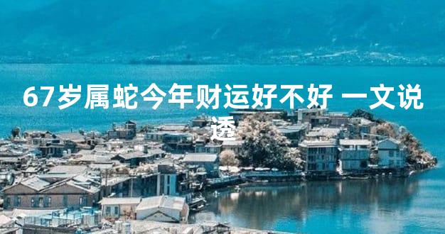 67岁属蛇今年财运好不好 一文说透